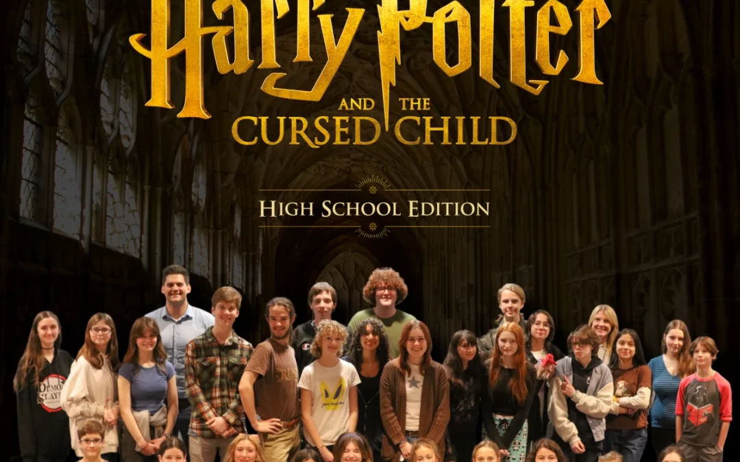 Harry Potter Play November 2024